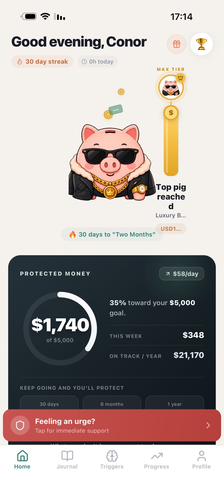 PiggyBank app home dashboard with streak, protected money, and urge support